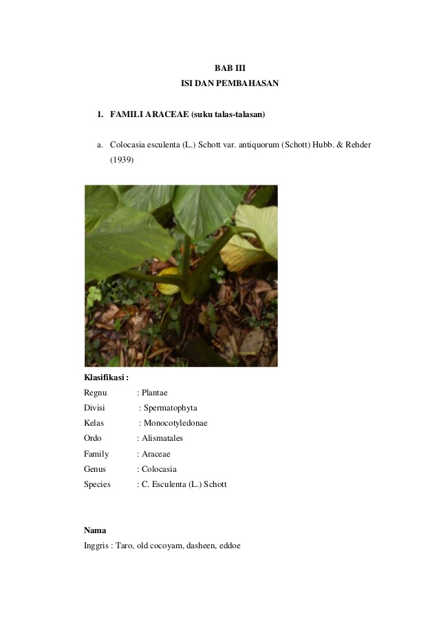 Jurnal botani tumbuhan tinggi pdf